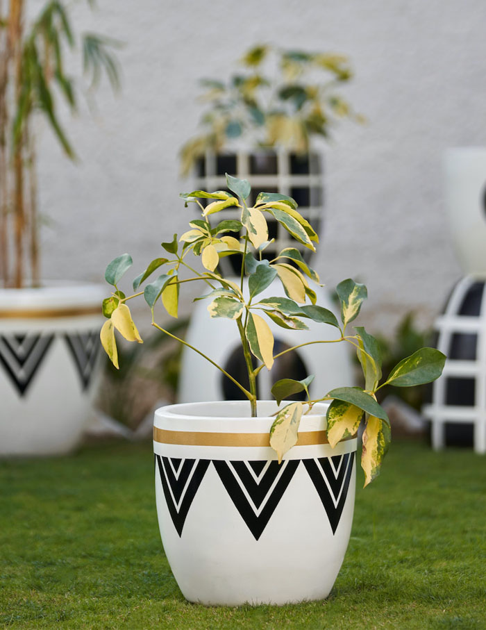 Artisanal planters from Shibui