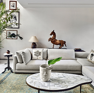 ||Treelight design bengaluru home|||||||||||||||