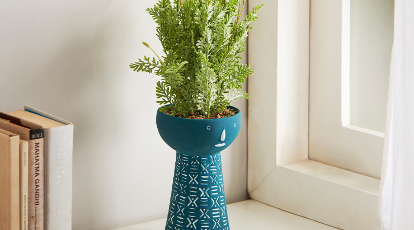 |planters india|planters india||||||||||||||planters india