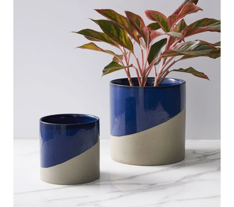 West Elm